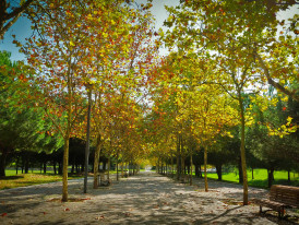 Parques e Jardins_Câmara Municipal de Almada