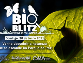 BioBlitz Parque da Paz 2021_Câmara Municipal de Almada