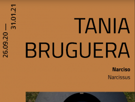 "Narciso", de Tania Bruguera  
