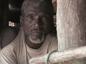 O ZÉ QUER SABER PORQUÊ