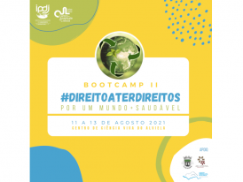 Programa Bootcamp II_IPDJ