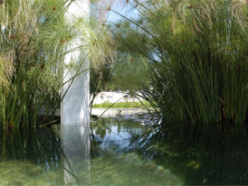 Visita Orientada ao Chão das Artes - Jardim Botânico