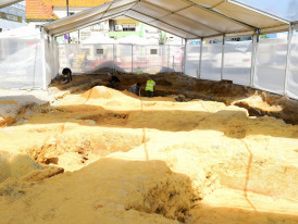 Fábrica de Salga Romana de Peixe