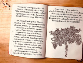 Corpo com Lisboa ao fundo - Luís Guerra