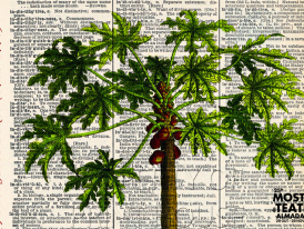 O vendedor de enciclopédias