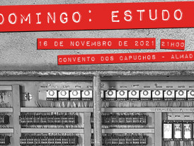 Domingo: Estudo 1