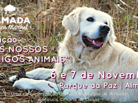 Almada Green Market Outubro 2021