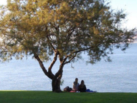 Exposição comemorativa do 27.º aniversário da AACA 