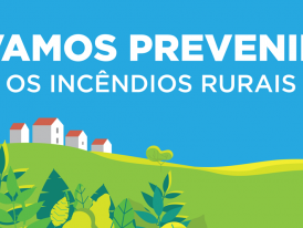 Incêndios rurais - limpeza de terrenos