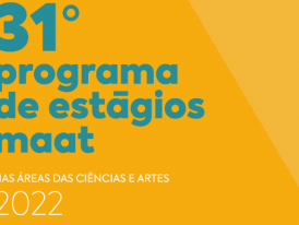 31º Programa de Estágios MAAT