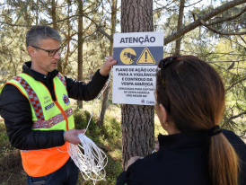 Vespa velutina (asiática) | Colocação de armadilhas