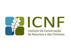 Logo ICNF