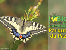 Estação da Biodiversidade do Parque da Paz