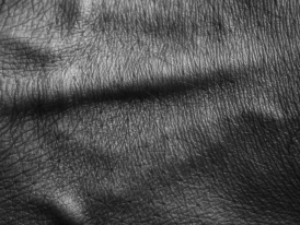 A Cor do Silêncio - Exposição Letícia Barreto