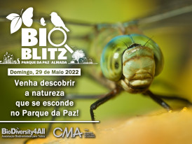 BioBlitz Parque da Paz 2022