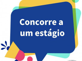 Programa de Estágios Schuman