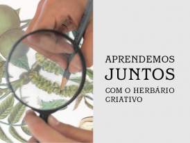 exposição APRENDEMOS JUNTOS COM O HERBÁRIO CRIATIVO