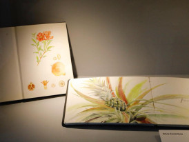 Cadernos de Campo/Grupo do Risco - Fotografia de Flor Salgueiro
