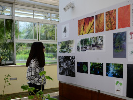 Exposição “O Chão das Artes - Residência Artística do Grupo do Risco 2021”