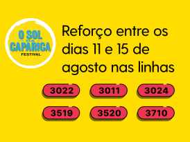 Festival O Sol da Caparica - reforço de linhas