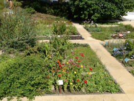 Visita orientada ao Jardim Botânico