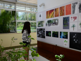 Desenho na Exposição_outubro