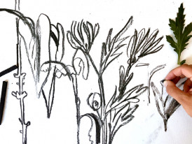 Desenho na Exposição