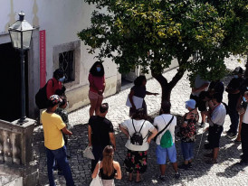 Visita Orientada "Casa com Jardim"