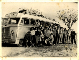 colecionimo13