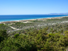 Almada, Ambiente, Carta de Princípios da Costa da Caparica, Alterações Climáticas