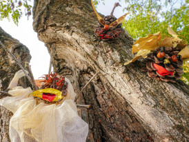 Oficina de criação de Marionetas e Formas Animadas