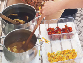 Experiências de tinturaria vegetal – Oficina para Famílias