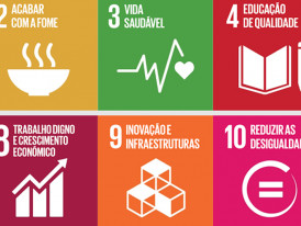 AMJA_Banner_FSimões_2122