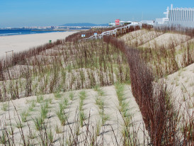 Projeto ReDuna_Praia de São João da Caparica