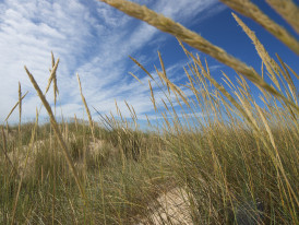 Estorno_Luís Quinta_CMAlmada