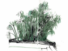 Papiros - Desenho de Luísa Passos (Grupo do Risco)