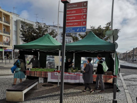 Mercado Biológico de Almada