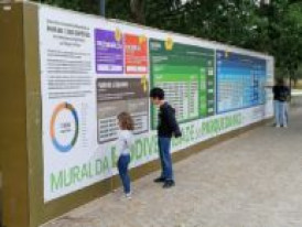 Mural da Biodiversidade do Parque da Paz