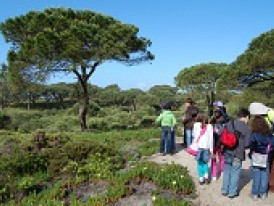 Sensibilização Ambiental