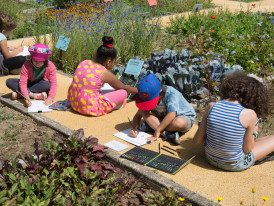 RESIDÊNCIAS ARTÍSTICAS DE VERÃO | Herbário Criativo XII – TODOS VERÃO AZUL!