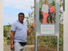 Diários de um Quotidiano