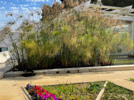 Visita Orientada a O CHÃO DAS ARTES – JARDIM BOTÂNICO