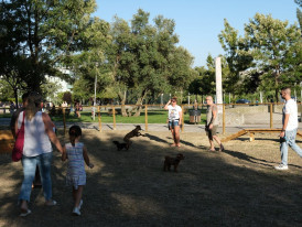 Almada, Animais, Parque Canino, Caparica, Orçamento Participativo