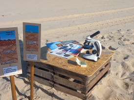 Costa da Caparica, Bandeira Azul, Formação das rochas