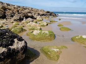 Almada, Costa da Caparica, Encontros