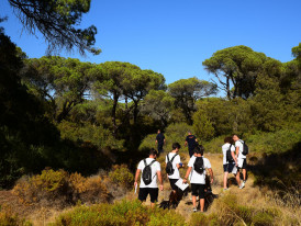 Almada, Voluntariado, Natureza, Floresta, Proteção Civil, IPDJ