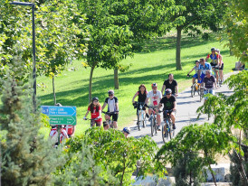 Almada em Forma, Passeio BTT