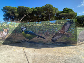 Mural