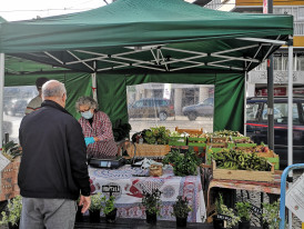 Mercado Biológico Almada