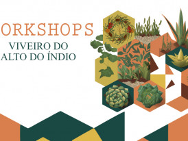 Workshop de Coroas de Natal